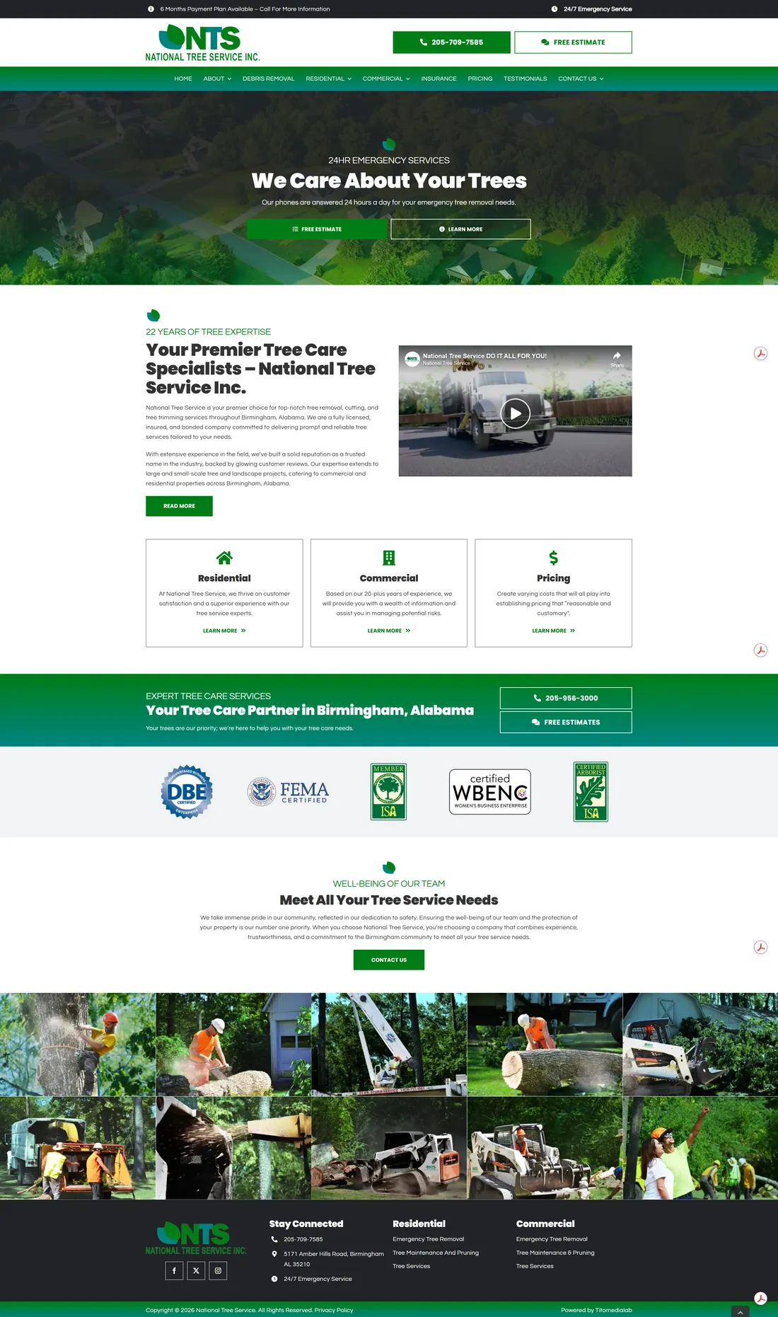 National Tree Service website with vibrant green branding and service sections